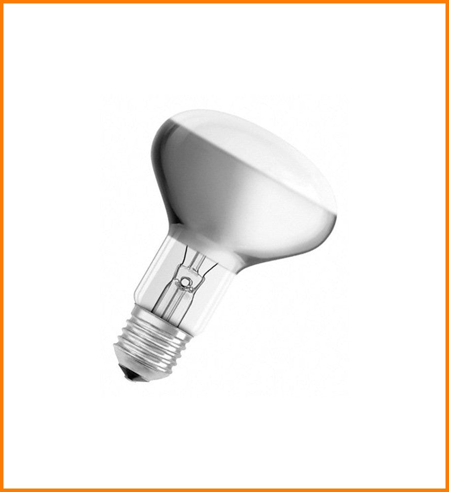 AMPOLLETA FOTOGRAFIA 250W PF 217E/44 220V E27 R95