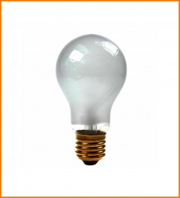 AMPOLLETA PF607 250W 230V E27 FOTOGRAFIA PHILIPS