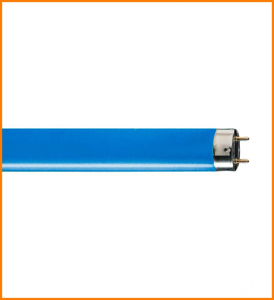 TUBO AZUL 58W T8 FLUORESCENTE SYLVANIA